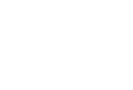 lemur